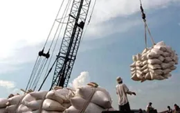 Xin giấy phép xuất khẩu gạo tốn 20.000USD: Bộ Công Thương vào cuộc