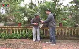 Dấu hiệu nhận biết sớm bệnh Alzheimer
