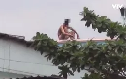 Làm gì khi gặp người ngáo đá?