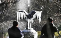 Thời tiết Tokyo, Nhật Bản đang lạnh nhất trong 48 năm qua