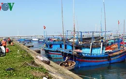 80 tàu cá câu cá ngừ không thể ra khơi vì bến cá bồi lấp