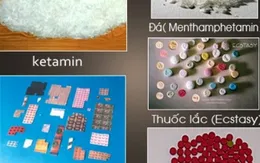 Ma túy tổng hợp, nguy cơ tiềm ẩn tàn phá sức khỏe giới trẻ