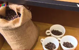 Đa dạng khẩu vị cà phê Việt