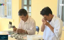 Tập trung xử lý dịch bệnh sốt rét tại Phú Yên