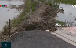 Tràn lan phân lô bán nền quy mô lớn tại Long An