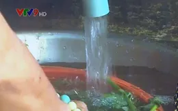 Khánh Hòa: Chậm đầu tư hệ thống xử lý nước, hàng trăm hộ dân dùng nước bẩn