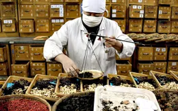 Đồng Nai: Tăng cường kiểm tra chất lượng, nguồn gốc xuất xứ của dược liệu, vị thuốc cổ truyền