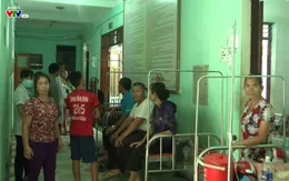 Nghệ An: 11 người thương vong do ong vò vẽ đốt