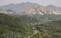 Hàn Quốc và Triều Tiên hoàn tất giải giáp vũ khí tại DMZ