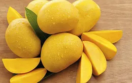 Xoài giúp ích cho điều trị ung thư