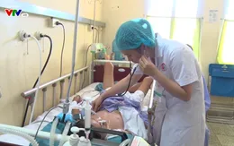 Bị rắn cạp nia cắn, bé trai 14 tuổi nguy kịch
