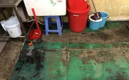 TP.HCM: Phạt công ty cung cấp bánh mì gây ngộ độc tập thể 84 triệu đồng