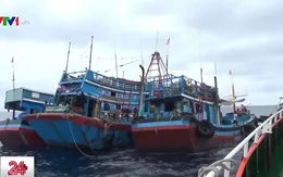 Nhiều tàu đánh bắt hải sản vi phạm hành lang an toàn đường ống dẫn khí dưới biển