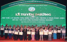 Tuyên dương điển hình tái cơ cấu nông nghiệp
