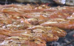 Ngư dân miền Trung vào mùa nướng cá