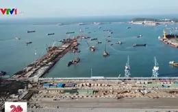 Vị trí nhận chìm vật chất nạo vét cảng Dung Quất: Không có rạn san hô, các sinh vật đặc hữu