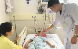 Bé trai 4 tuổi ngộ độc cấp cứu do sử dụng lá lộc mại chữa táo bón