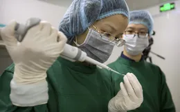 Thử nghiệm thành công vaccine ngừa Alzheimer trên động vật