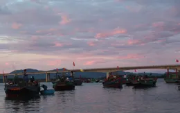 Không khí tấp nập tại các cảng cá lúc rạng sáng