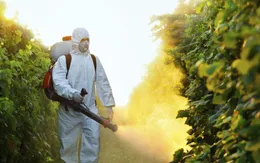 Pháp cấm vĩnh viễn loại thuốc trừ sâu chứa metam sodium do nguy cơ ngộ độc