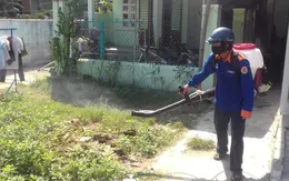 Quảng Nam: Bệnh sốt xuất huyết gia tăng