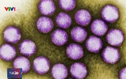 Ít nhất 10 người chết do lây lan virus tại bệnh viện Mỹ