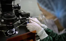 Liệu pháp biến đổi gen có thể chữa khỏi HIV/AIDS