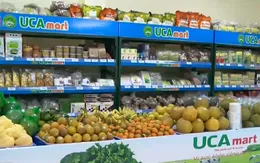 Ra mắt Liên hiệp HTX tiêu thụ nông sản an toàn Việt Nam