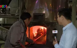 Cận cảnh quy trình sản xuất những hạt cà phê đủ tiêu chuẩn