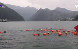 Bơi vượt sông Dương Tử