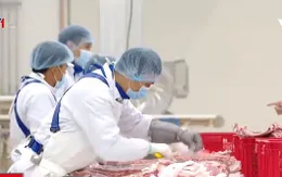 Đầu tư khâu chế biến giúp chuỗi giá trị chăn nuôi ngày càng hoàn chỉnh