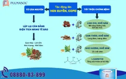 Phát hiện 4 loại cây cứu tinh cho người hen suyễn, COPD