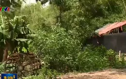 TP.HCM thu hồi 180 dự án treo, khôi phục quyền lợi cho người dân