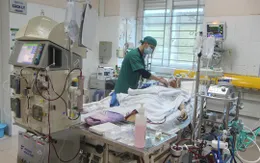 Ăn tiết canh lợn, người đàn ông nhập viện trong tình trạng nguy kịch