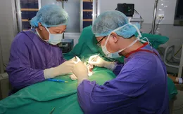 Hai bé trai phải cắt bỏ tinh hoàn vì chẩn đoán nhầm