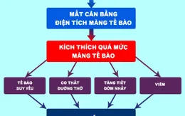 Việt Nam ứng dụng thành công sinh học phân tử trong điều trị hen suyễn, COPD