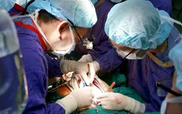Ghép phổi cho bệnh nhân 91: Tìm kiếm nguồn tài trợ