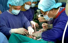 Lần đầu tiên ghép thành công 6 tạng từ người chết não - Bước tiến mới trong ghép tạng