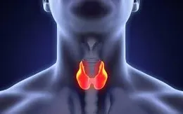 Cơ hội khám và điều trị miễn phí u tuyến giáp, u gan tại Quảng Ninh