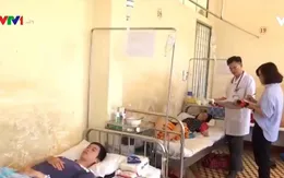Nguy cơ bùng phát sốt rét ở Tây Nguyên