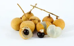 Bé 13 tháng tuổi nguy kịch vì hóc hạt nhãn