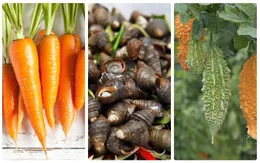 Những bài thuốc hỗ trợ chữa đái tháo đường