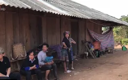 Ổn định dân di cư tự do ở Mường Nhé, Điện Biên