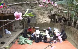 Sắc Xuân trên xóm người Dao