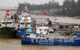 Hiệu quả tàu cá đóng mới theo quy định 67