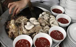 Sai lầm: Lợn nuôi dân dã là lợn "sạch" miễn nhiễm bệnh