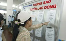 Quảng Ngãi có nhu cầu tuyển dụng hơn 15.000 lao động