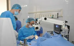 Việt Nam: Chỉ 50% người bệnh có nhu cầu được ghép giác mạc