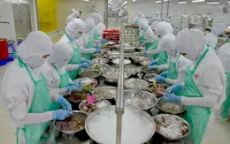 Hà Lan đề nghị làm rõ một số vấn đề chứng nhận khai thác thủy sản của Việt Nam