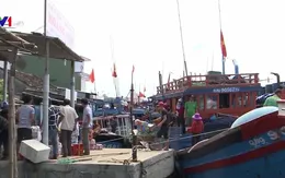 Ngư dân Quảng Ngãi mở biển, ra ngư trường Hoàng Sa